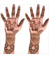 Golecha Coppers Maroon Henna Tube