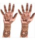 Golecha Coppers Maroon Henna Tube