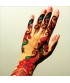 Golecha Multi Color Henna Cone